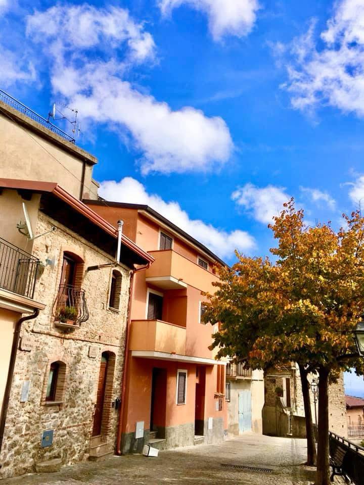 Camini